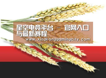 星空电竞平台 - 官网入口与最新赛程