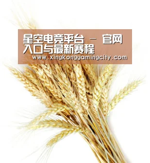 星空电竞平台 - 官网入口与最新赛程