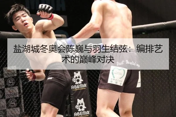 盐湖城冬奥会陈巍与羽生结弦：编排艺术的巅峰对决