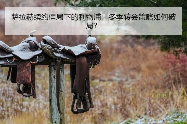 萨拉赫续约僵局下的利物浦：冬季转会策略如何破局？