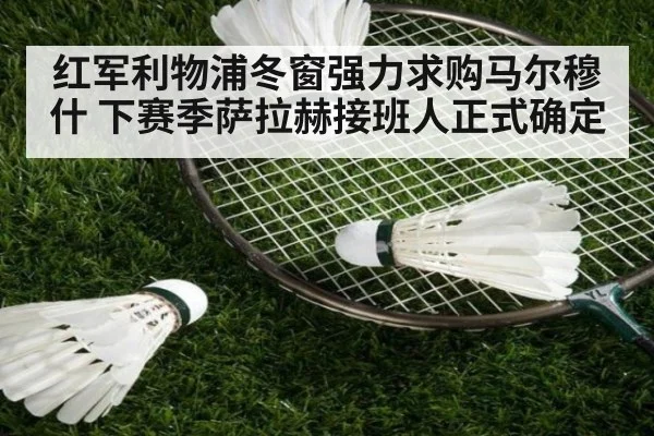 红军利物浦冬窗强力求购马尔穆什 下赛季萨拉赫接班人正式确定